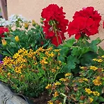 Séjour chez l'habitant Ruheundsonne
